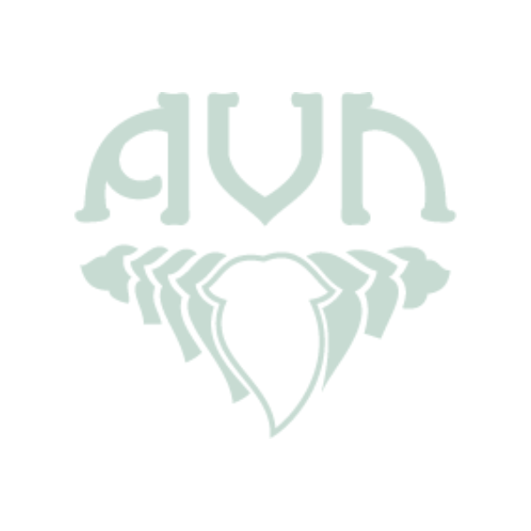AVN LASUNADI VATI - Pack of 2 (120 TABLET Each)