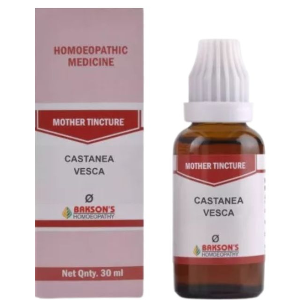 BAKSON'S HOMEOPATHY CASTANEA VESCA MOTHER TINCTURE Q - PACK OF 3 (30 ML EACH)