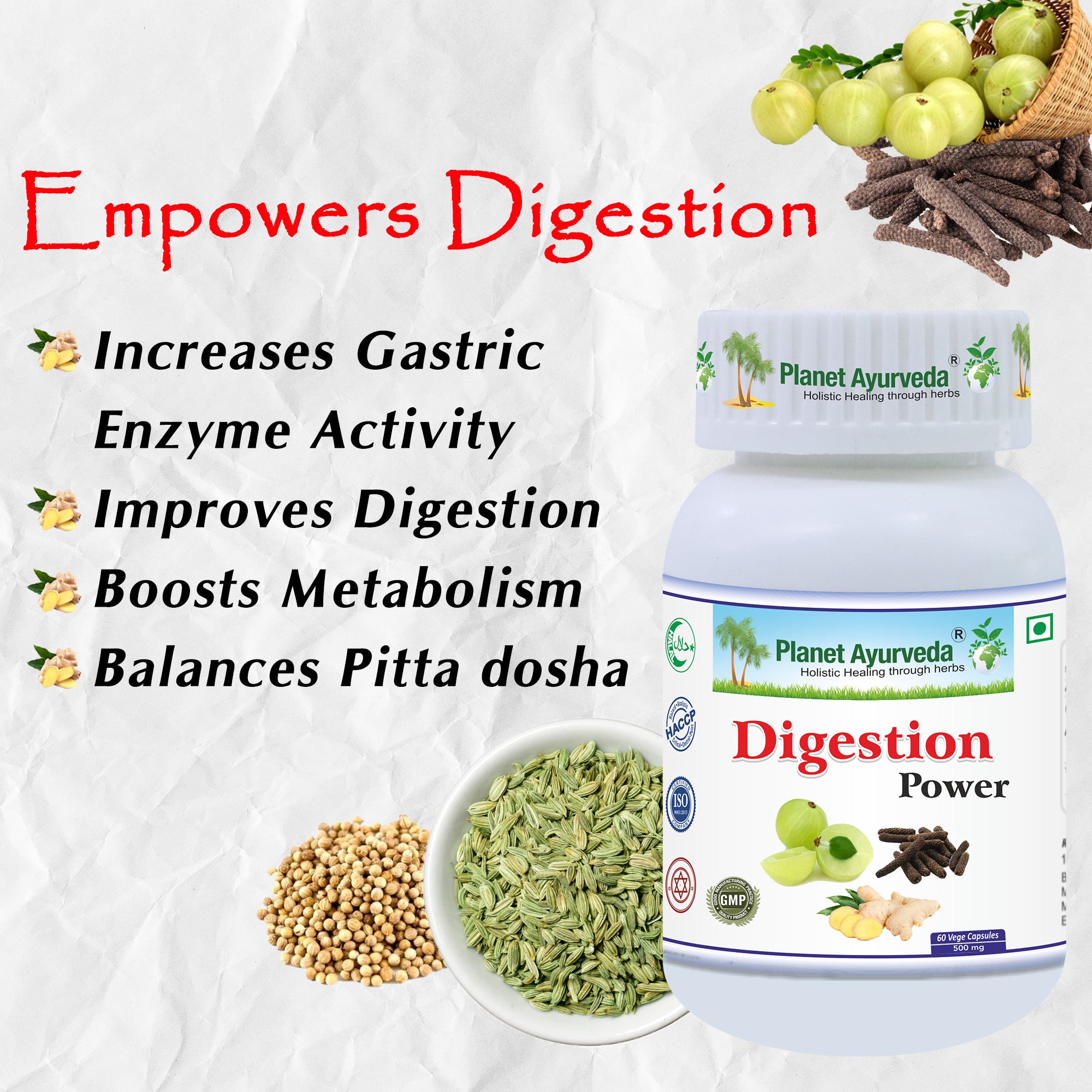 Digestion Power