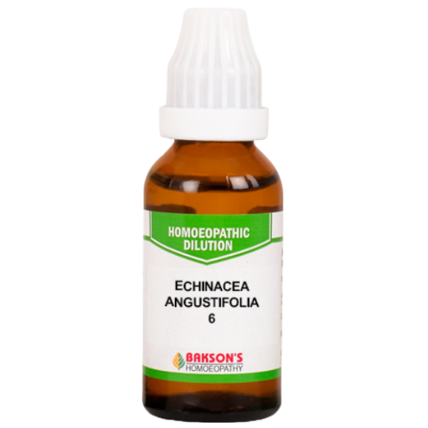 BAKSON'S HOMEOPATHY ECHINACEA ANGUSTIFOLIA DILUTION 6 - PACK OF 4 (30 ML EACH)