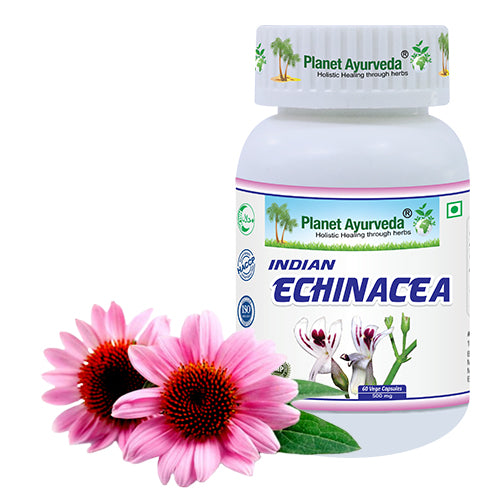 INDIAN ECHINACEA