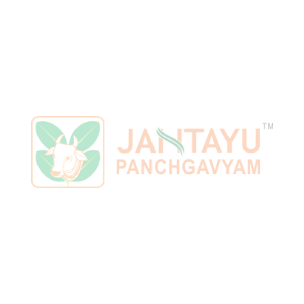 JANTAYU MAHAMANJISHTHADI KWATH GHAN (PACK OF 3)