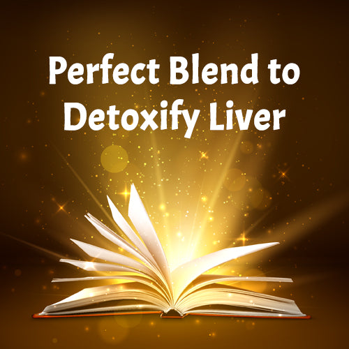 LIVER DETOX FORMULA