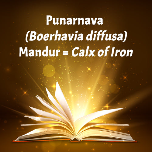 PUNARNAVA MANDUR