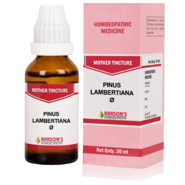 BAKSON'S HOMEOPATHY PINUS LAMBERTIANA MOTHER TINCTURE Q - PACK OF 3 (30 ML EACH)