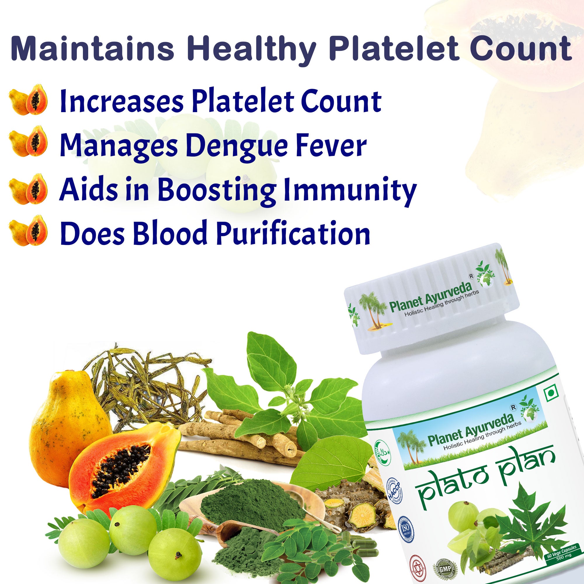 PLATO PLAN CAPSULES