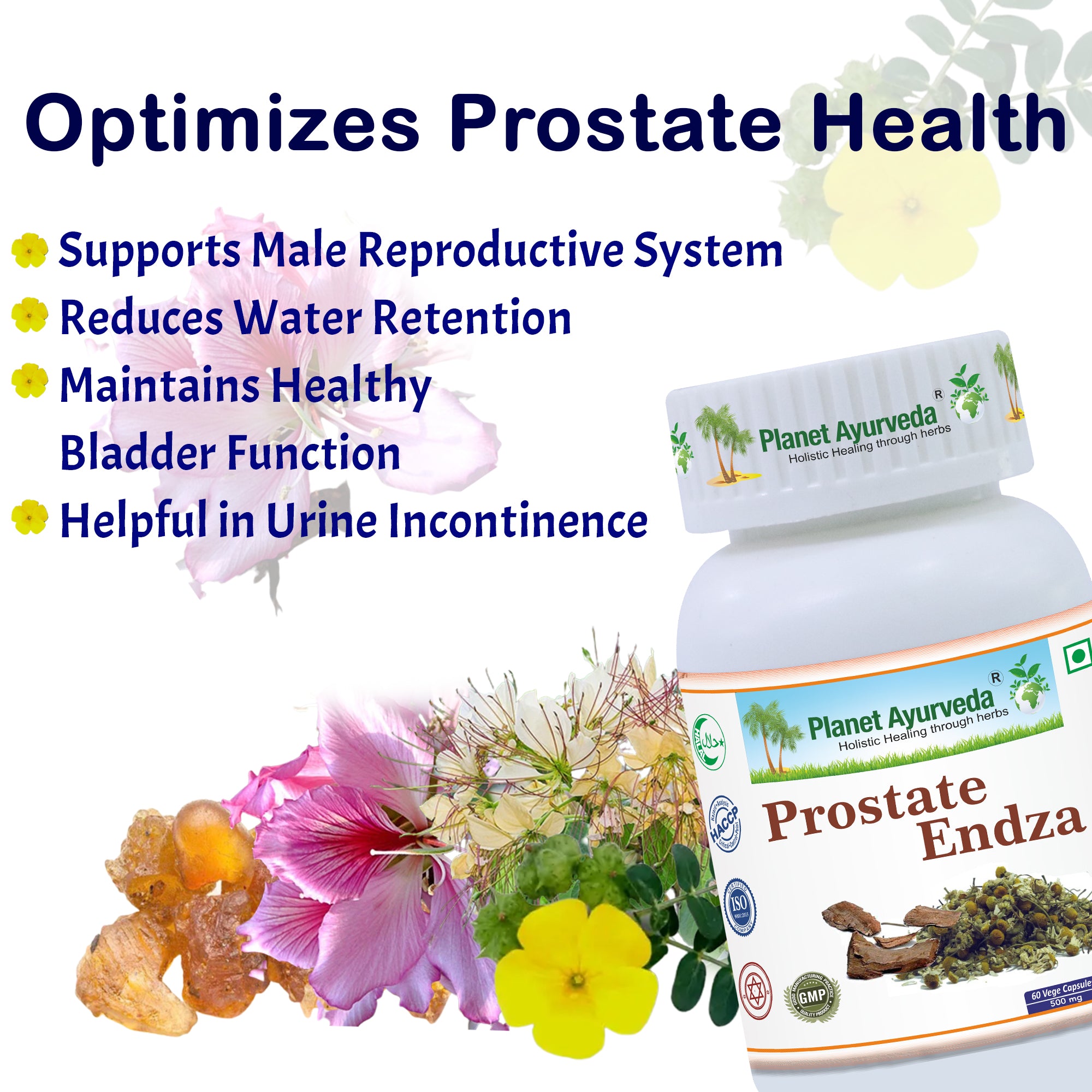 PROSTATE ENDZA