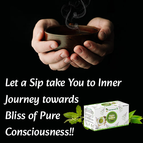 TULSI GREEN TEA