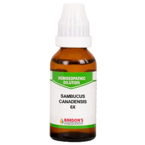 BAKSON'S HOMEOPATHY SAMBUCUS CANADENSIS DILUTION 6X - PACK OF 4 (30 ML EACH)