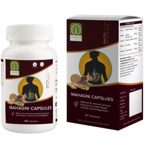 VASISHTA MAHAGNI CAPSULES - PACK OF 2 (60 Caps EACH)