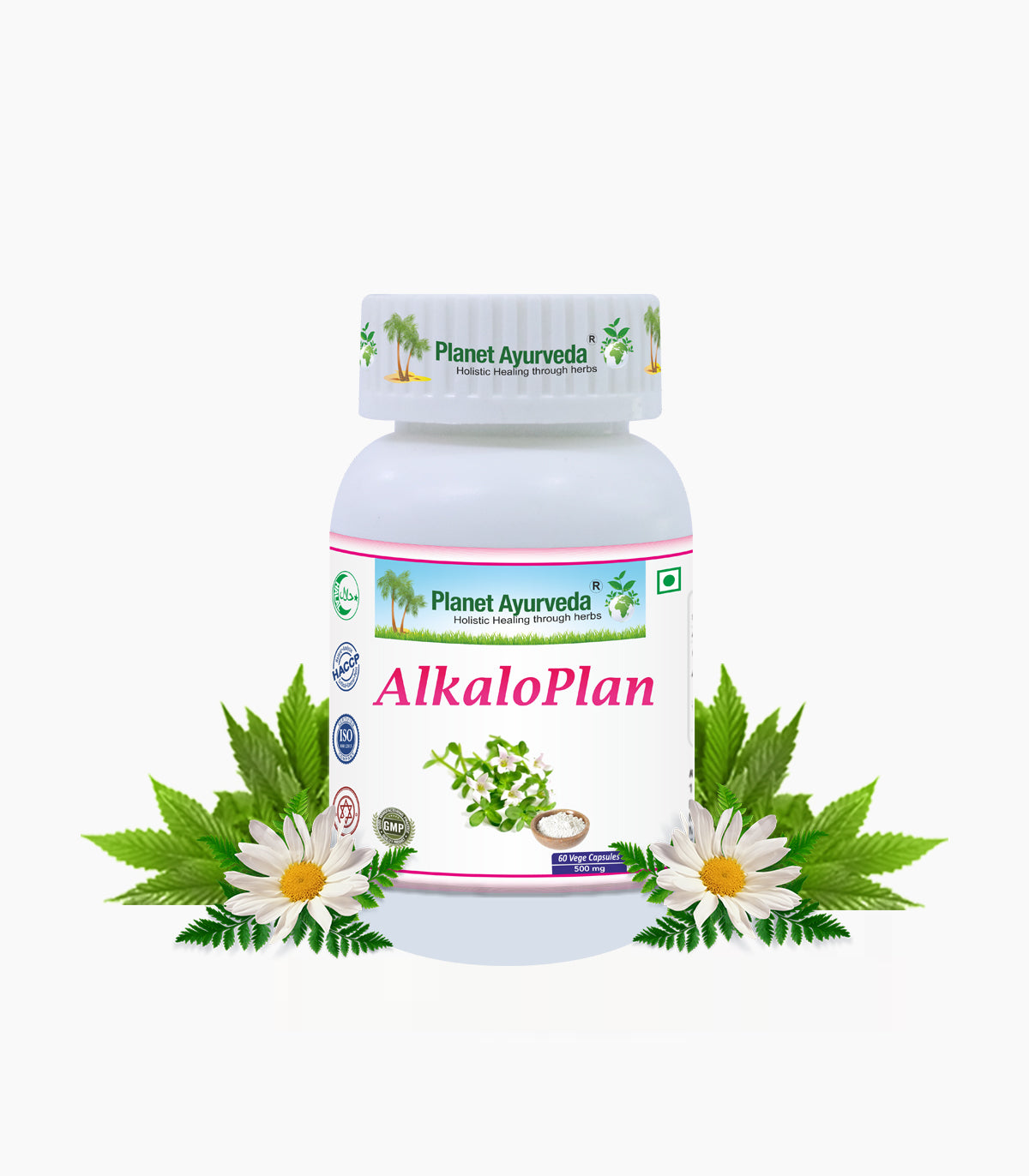 ALKALOPLAN CAPSULES