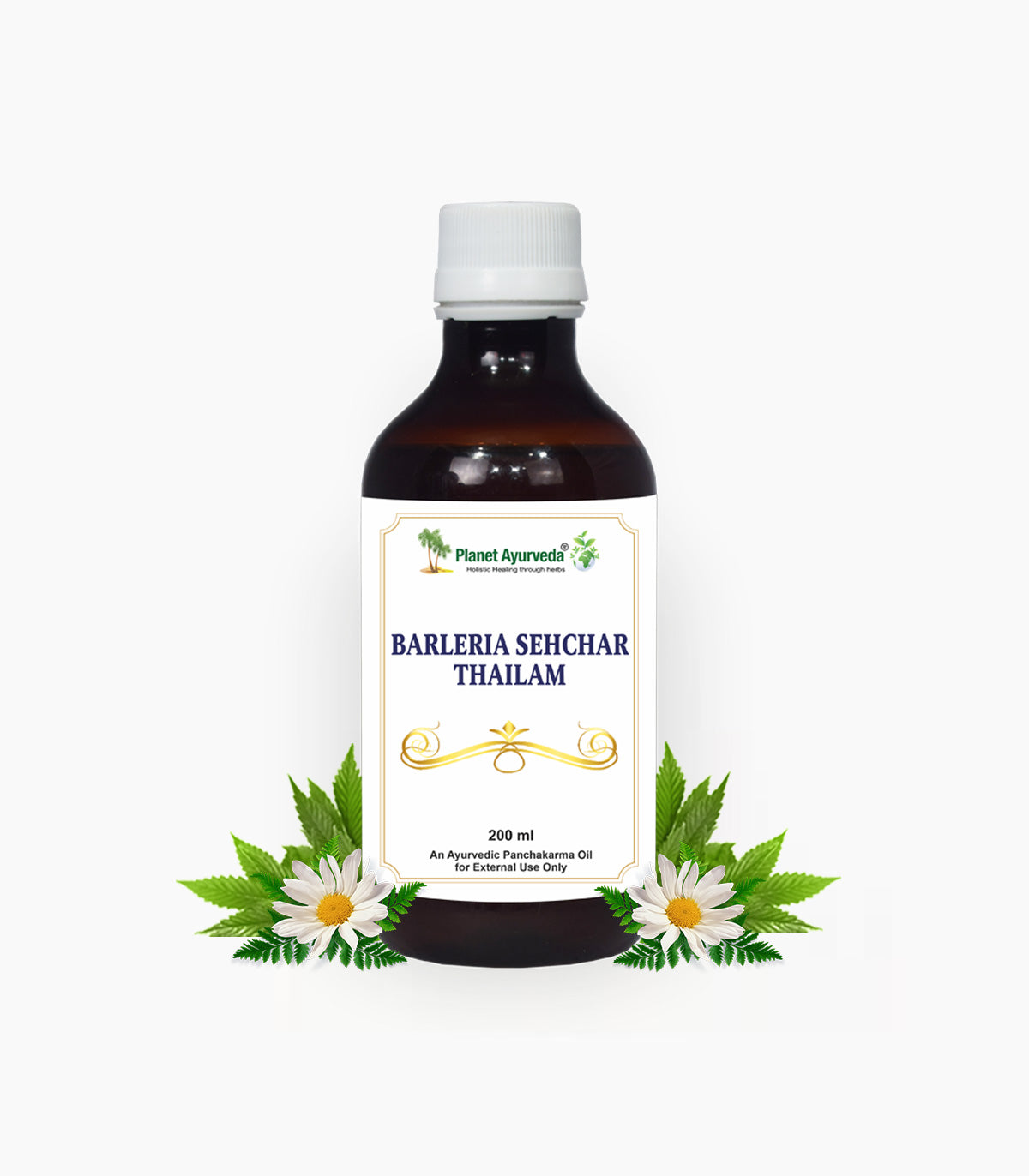 BARLERIA SEHCHAR THAILAM