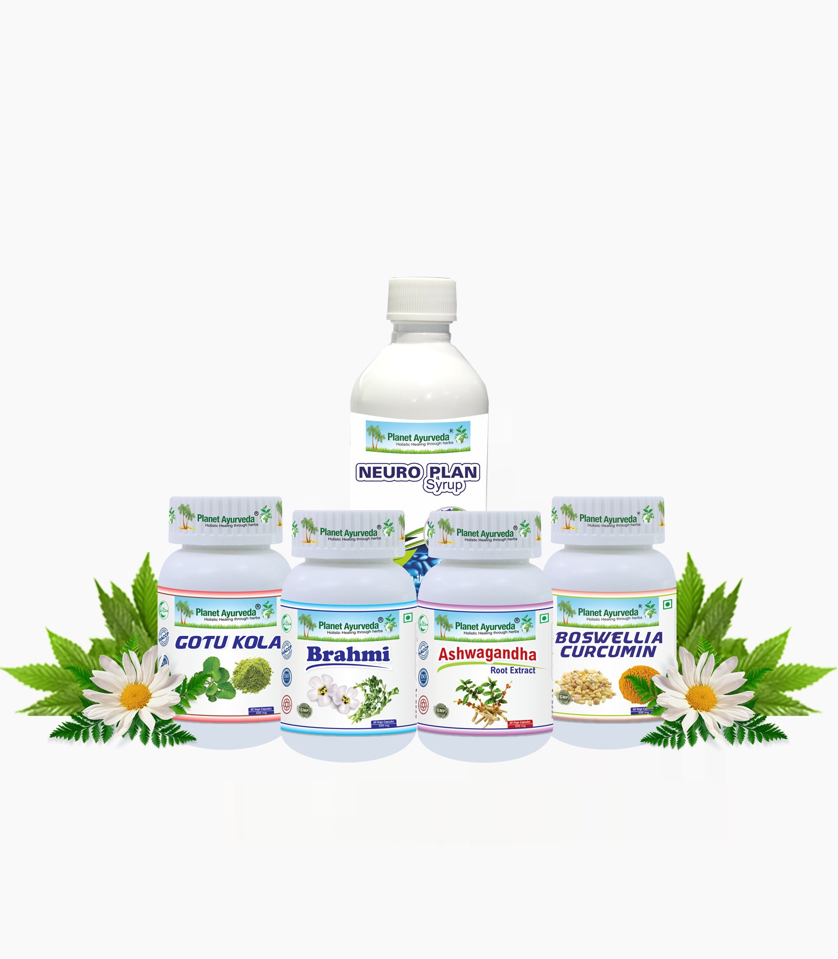 BRAIN CARE PACK