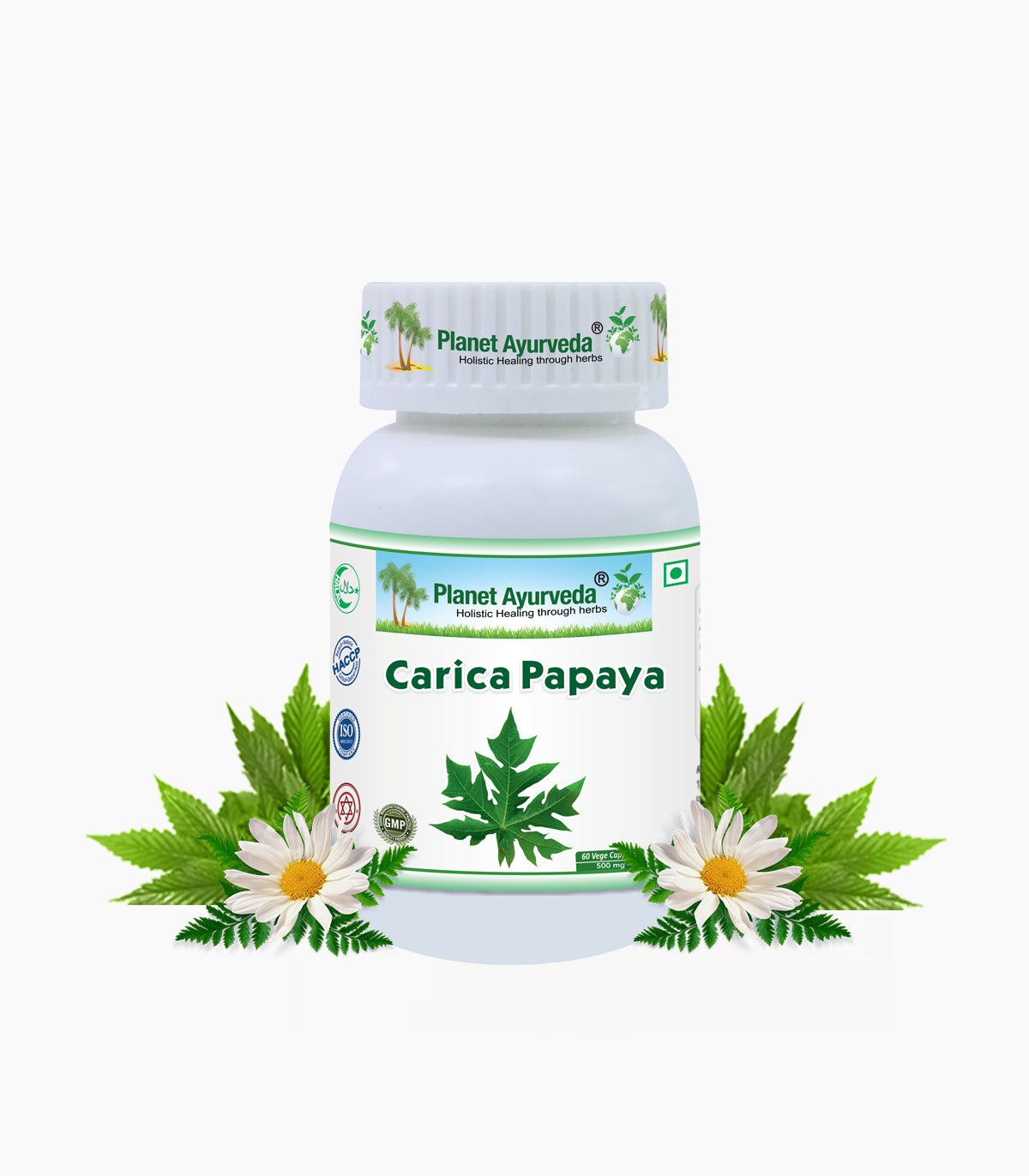 CARICA PAPAYA CAPSULES