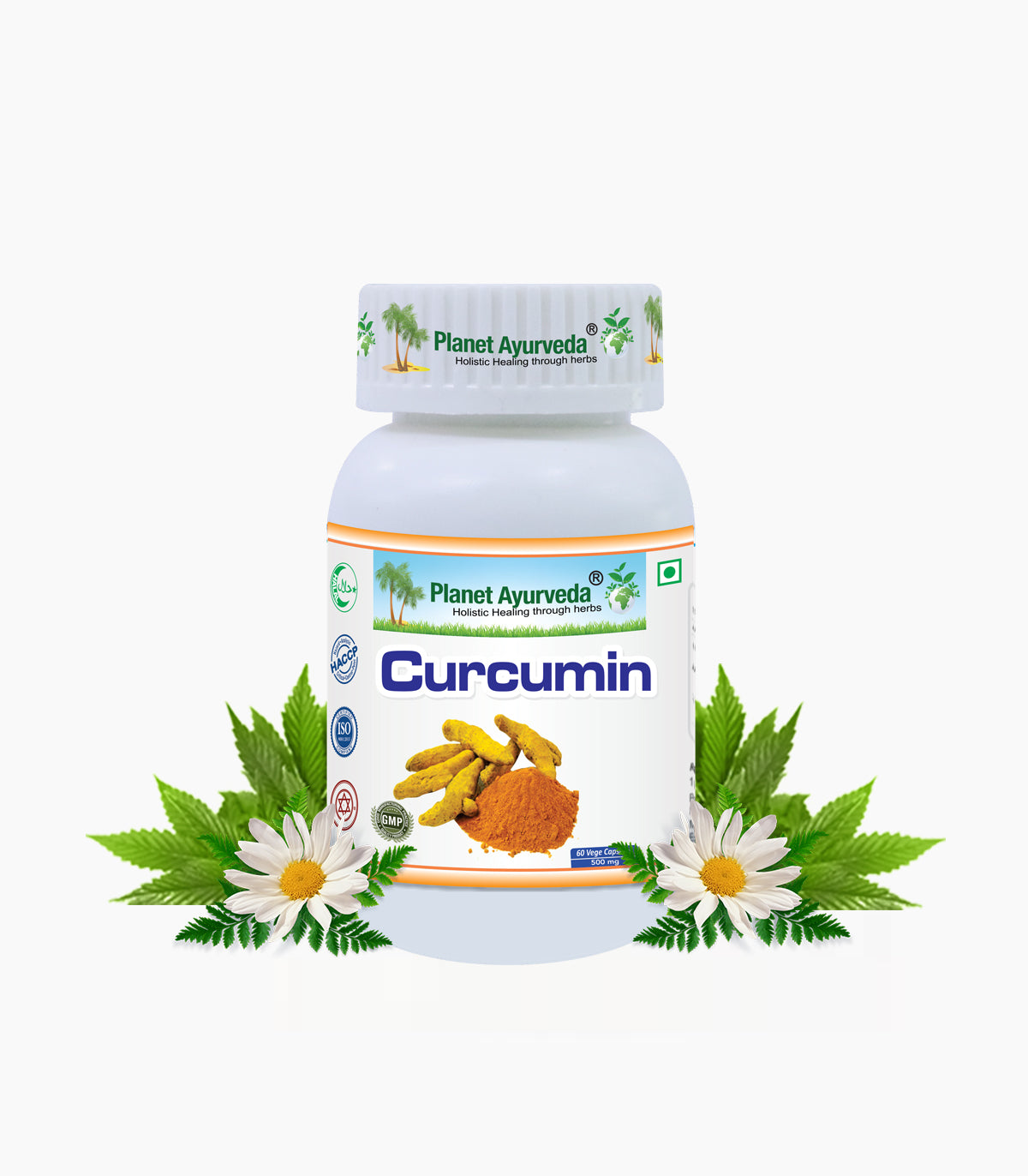 CURCUMIN CAPSULES