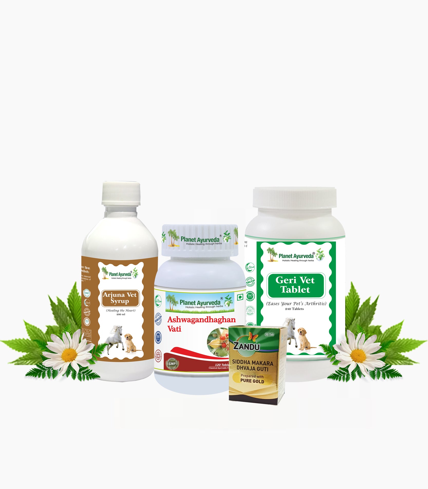 DCM CARE PACK FOR DOGS