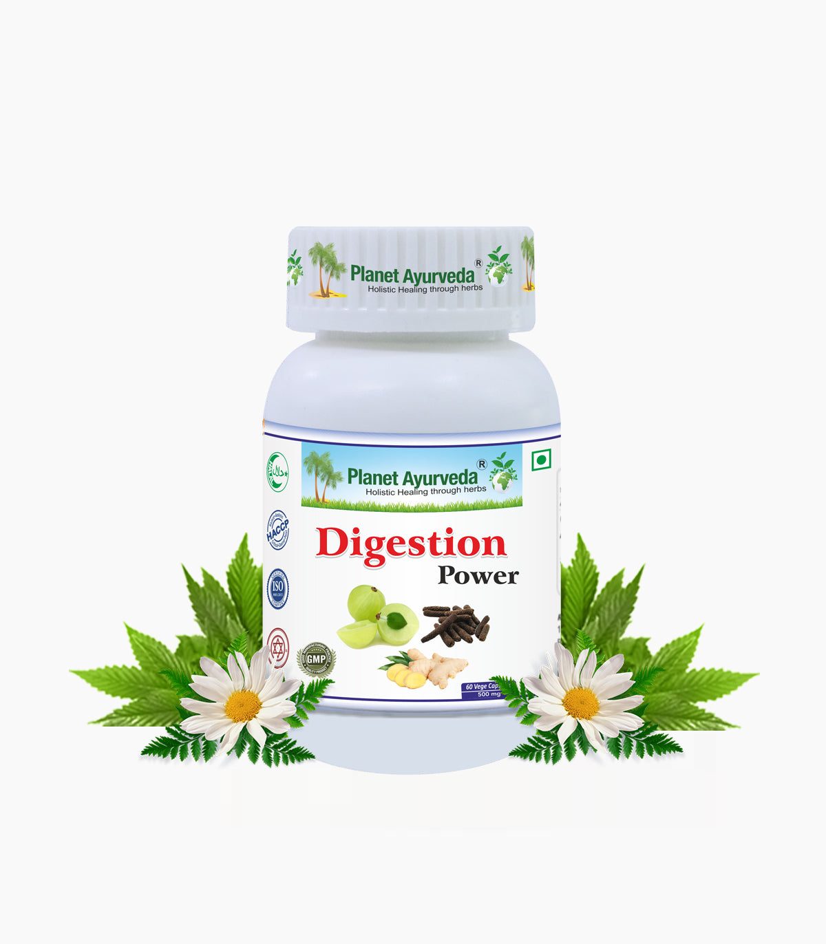 Digestion Power