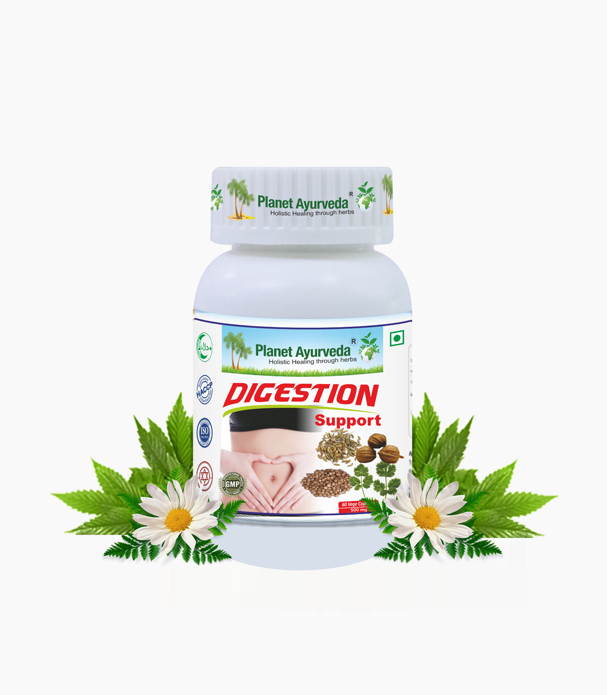 DIGESTION SUPPORT