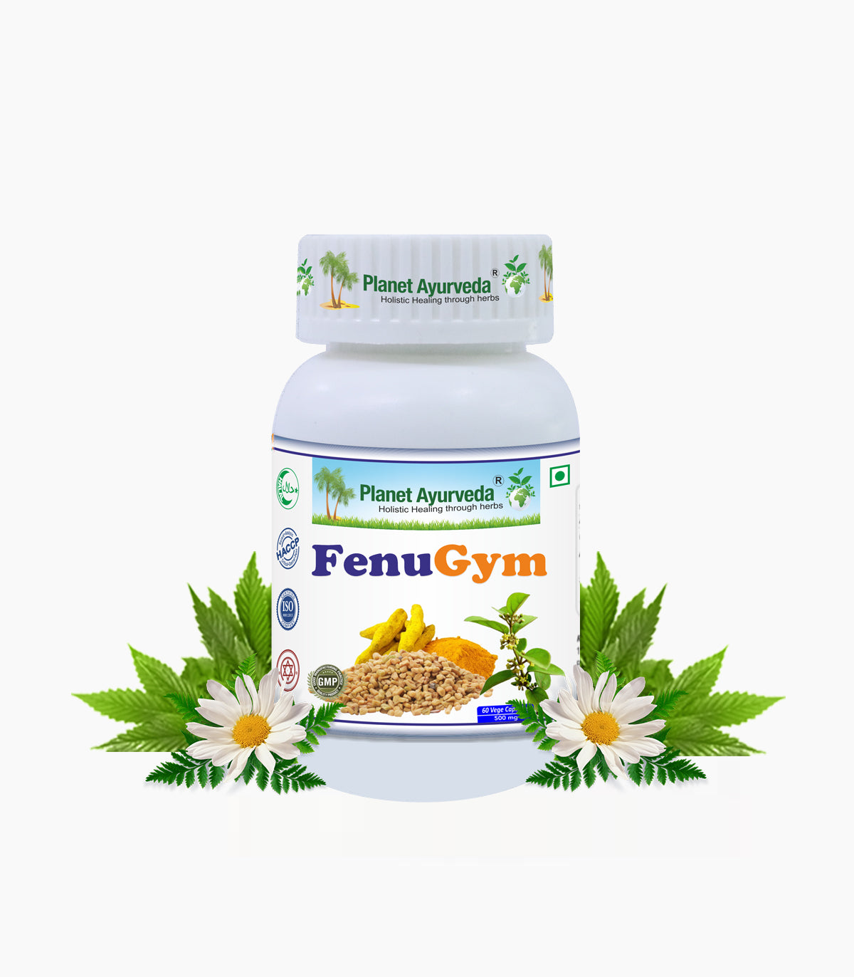 FENUGYM CAPSULES