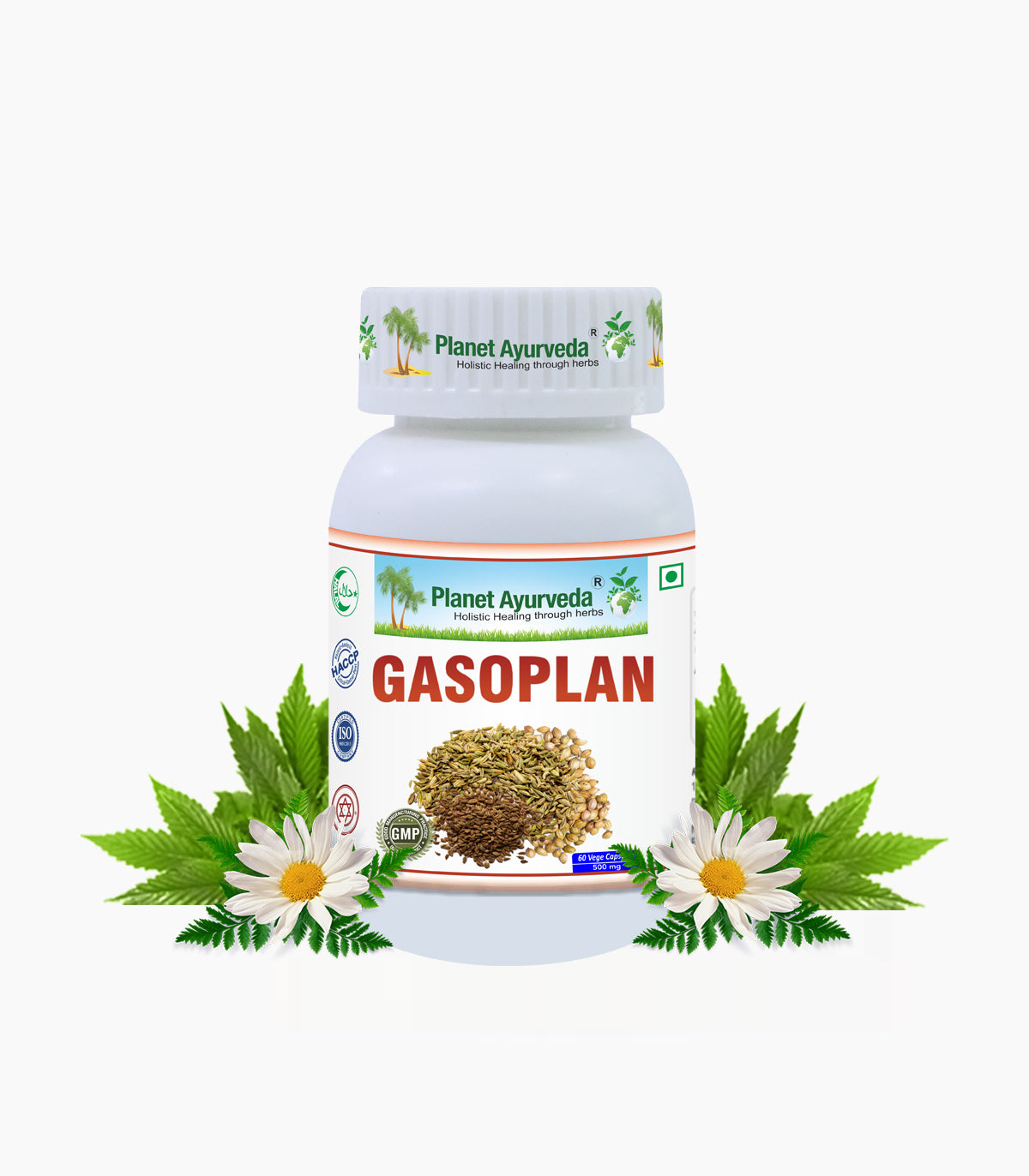 GASOPLAN CAPSULES
