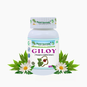 GILOY CAPSULES