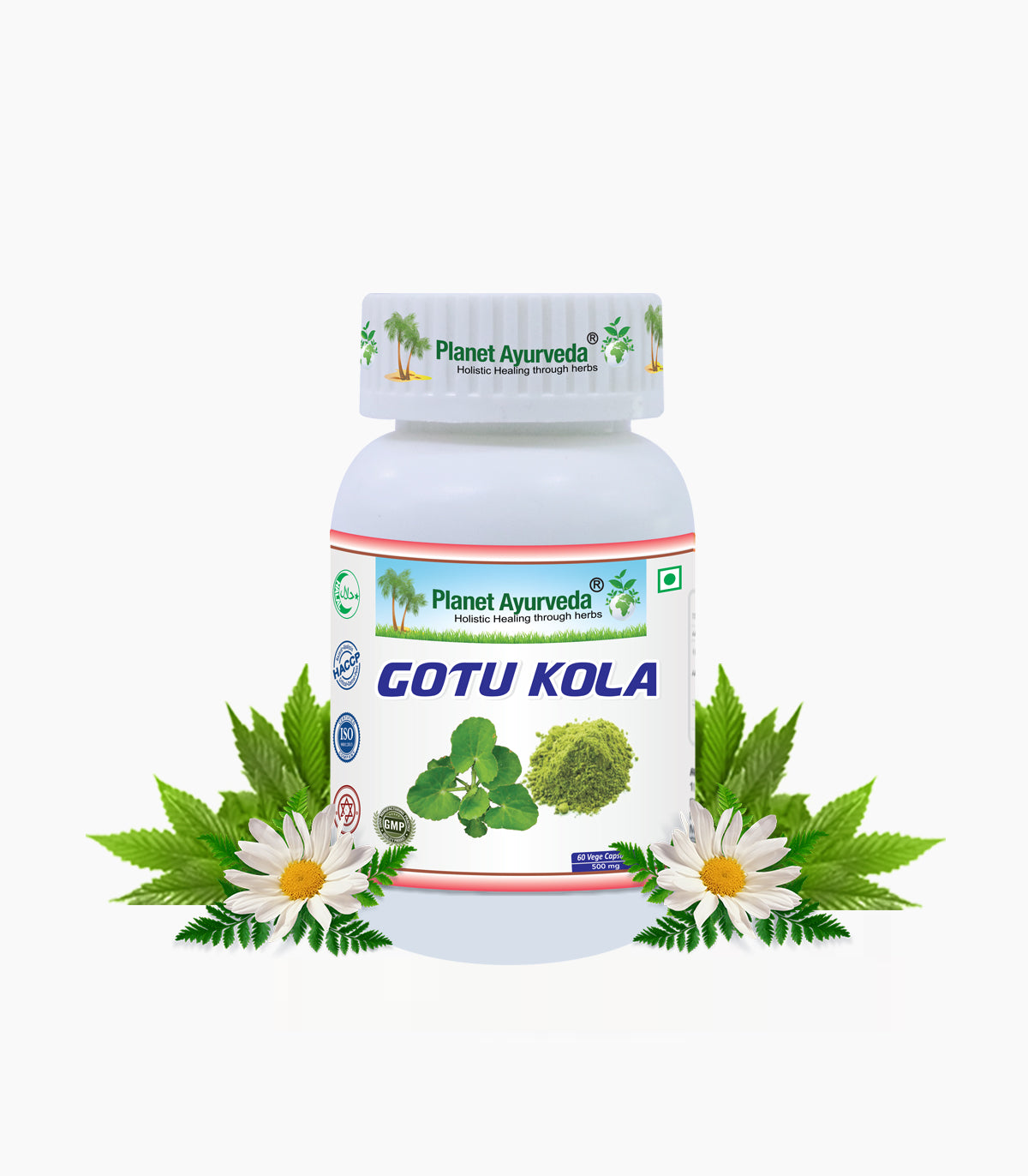 GOTU KOLA CAPSULES