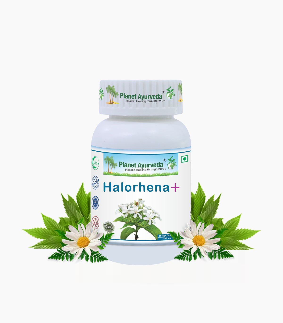 HALORHENA + CAPSULES