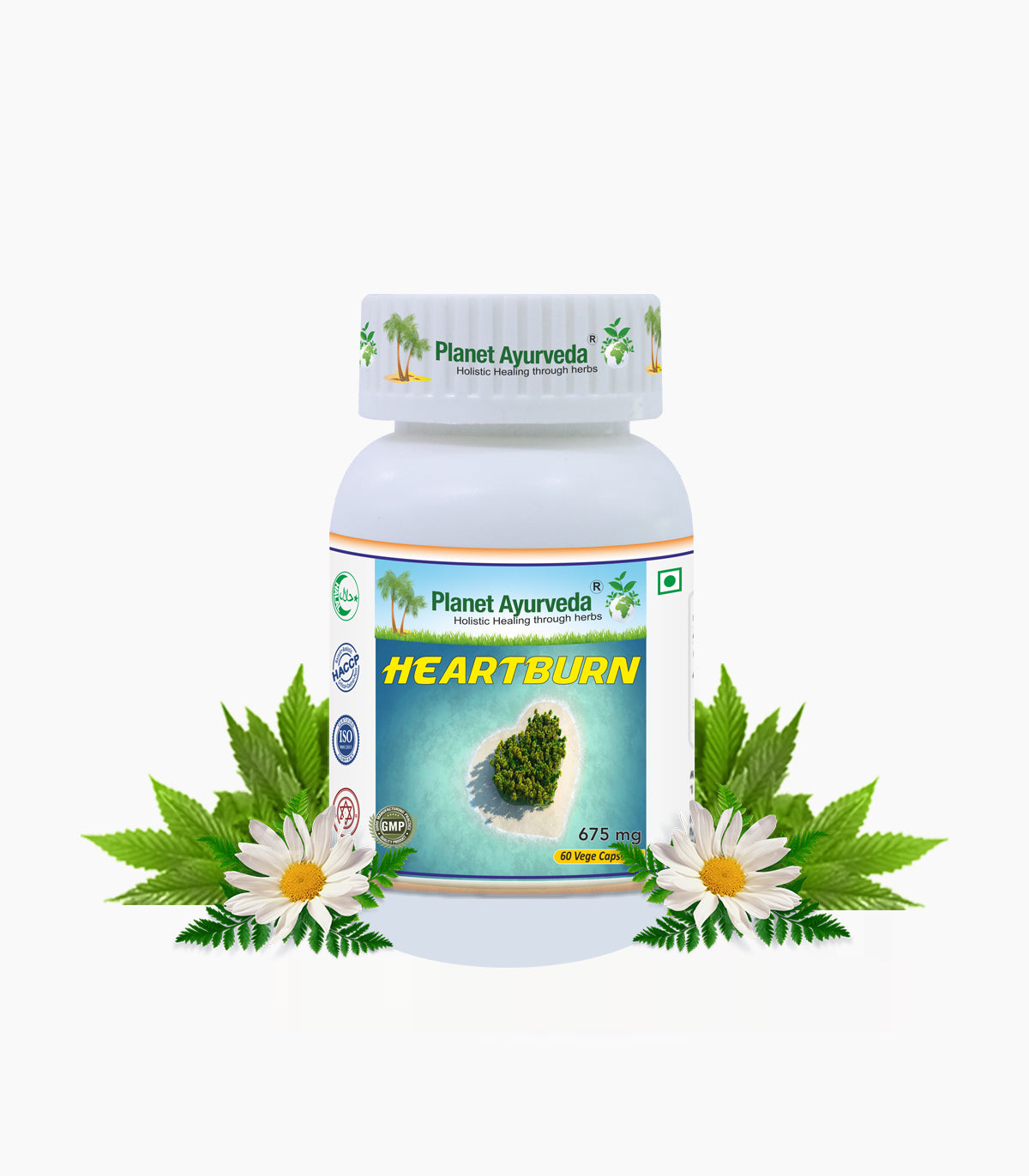 HEART BURN CAPSULES