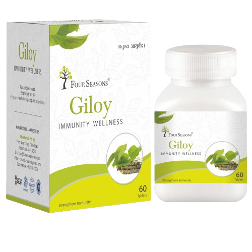 Four Seasons Ayurveda Giloy Tablet - Pack of 4 (60 Tabs each)