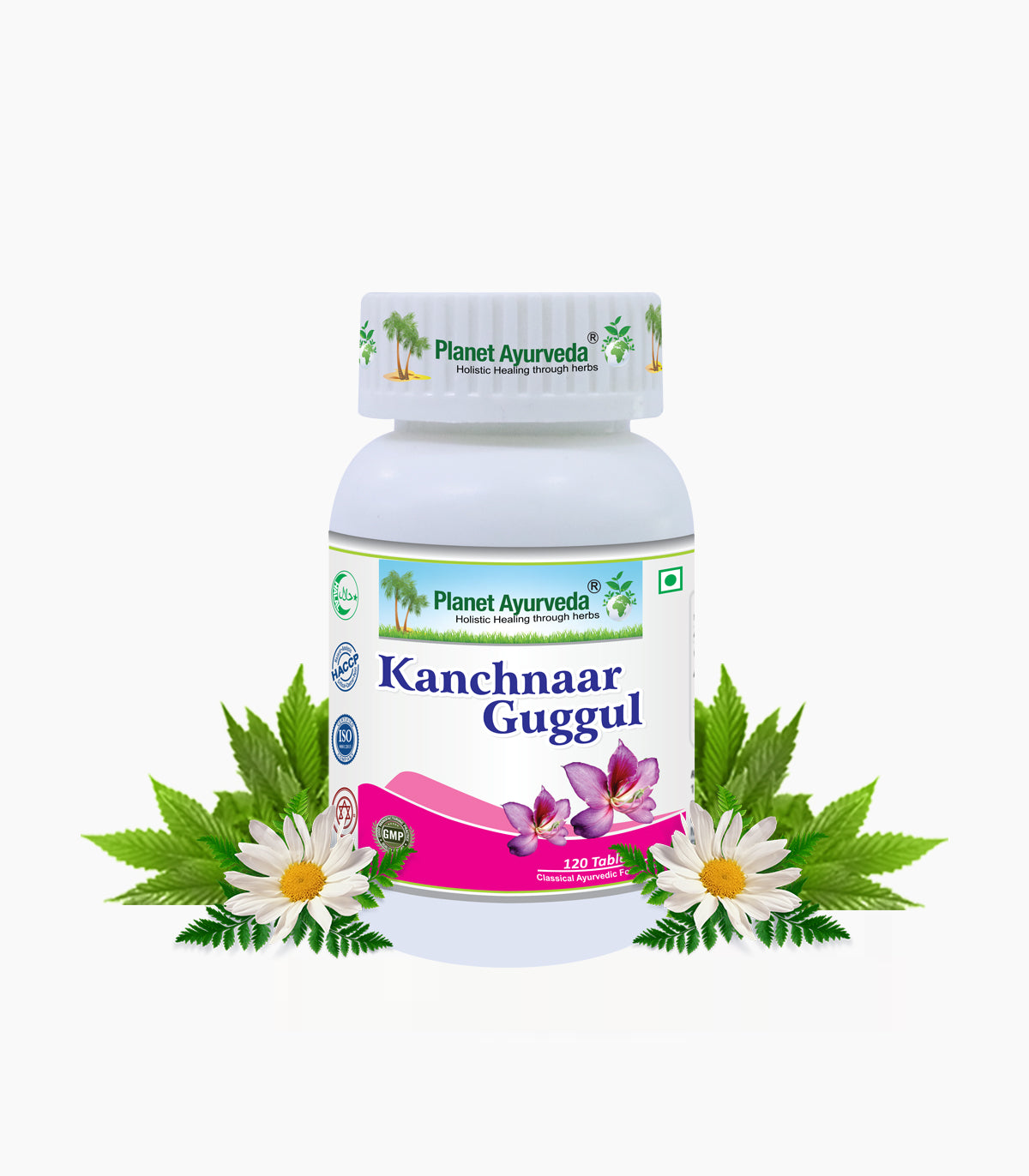 KANCHNAAR GUGGUL
