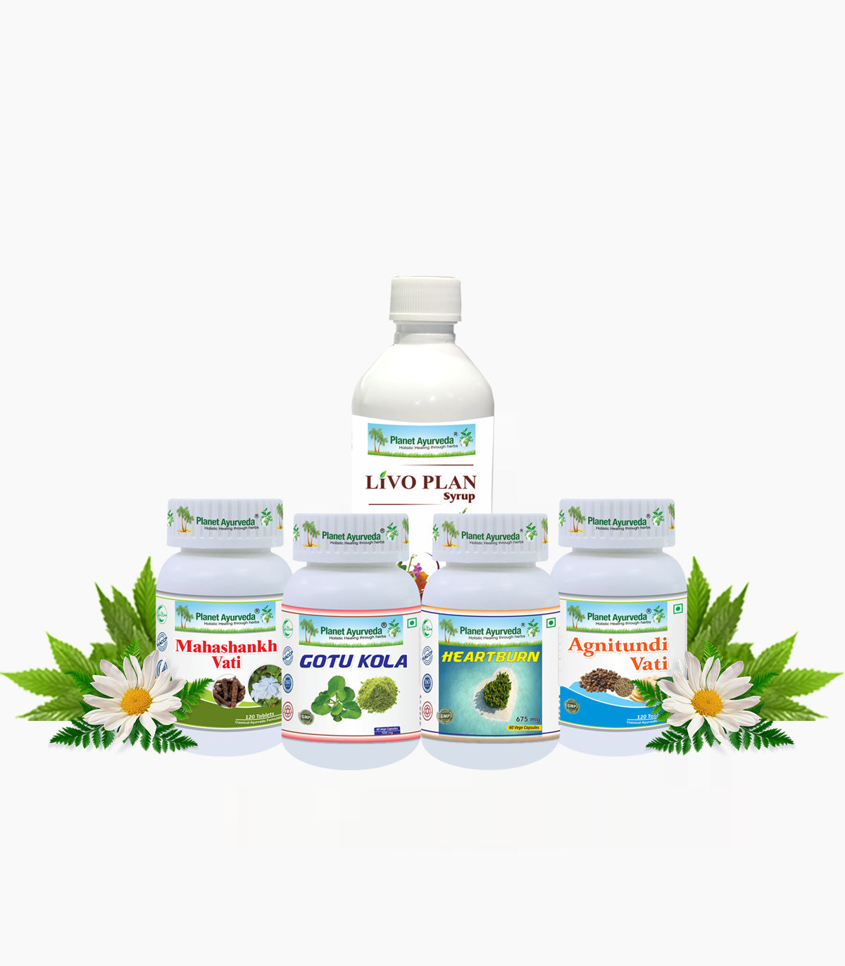 LIVO-HG CARE PACK