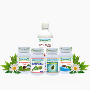 LIVO-HG CARE PACK