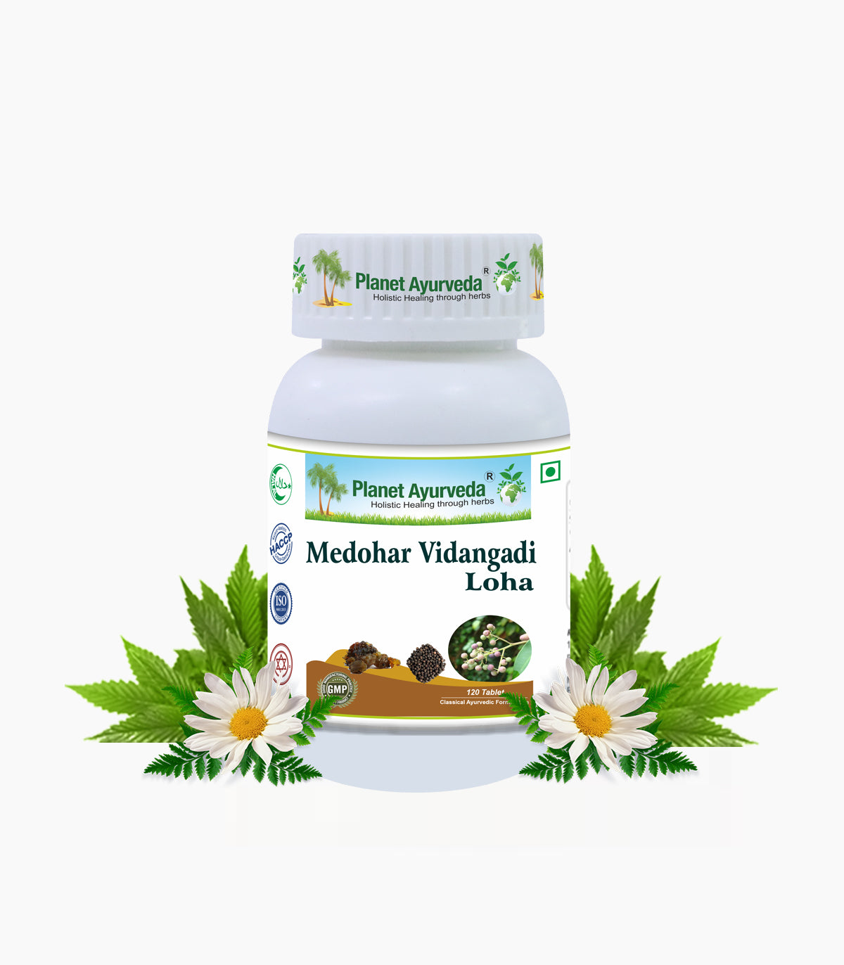 Medohar Vidangadi Loha