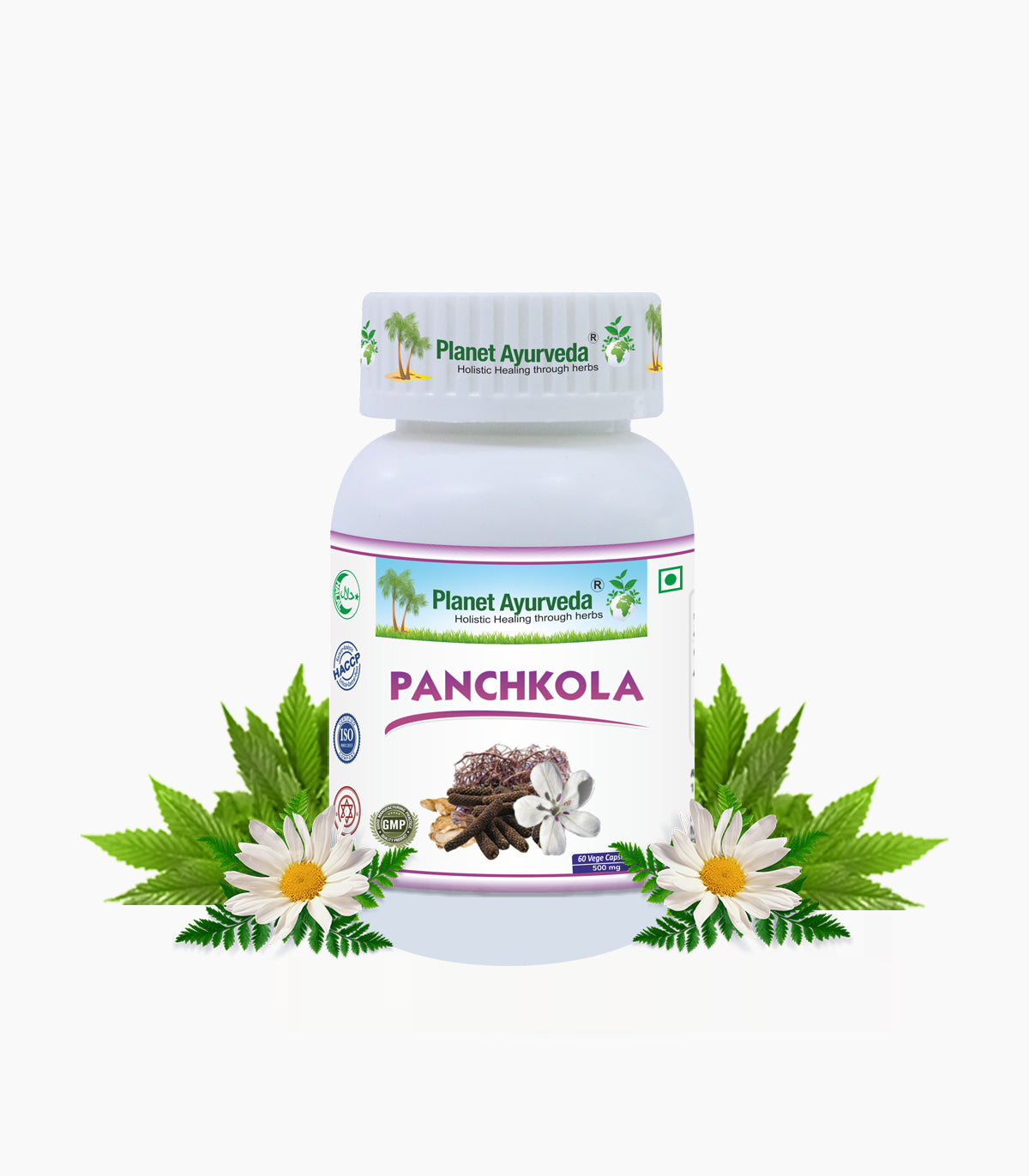 PANCHKOLA CAPSULES