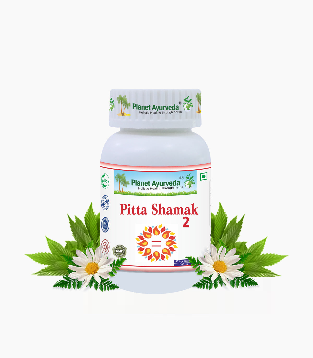 PITTA SHAMAK - 2