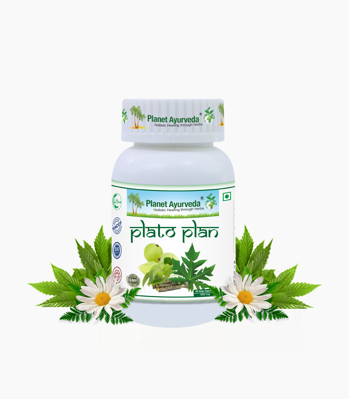 PLATO PLAN CAPSULES