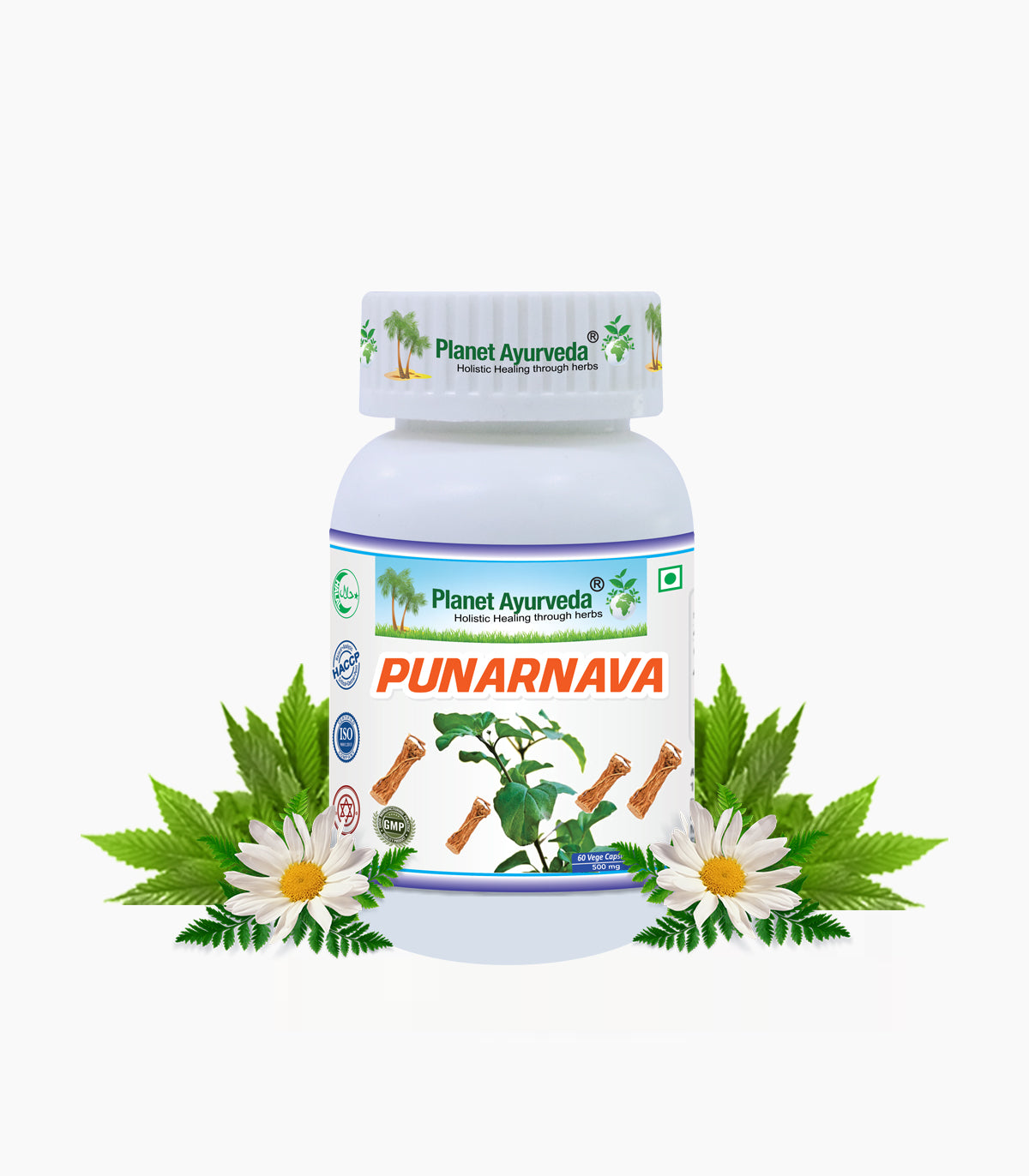 PUNARNAVA CAPSULES