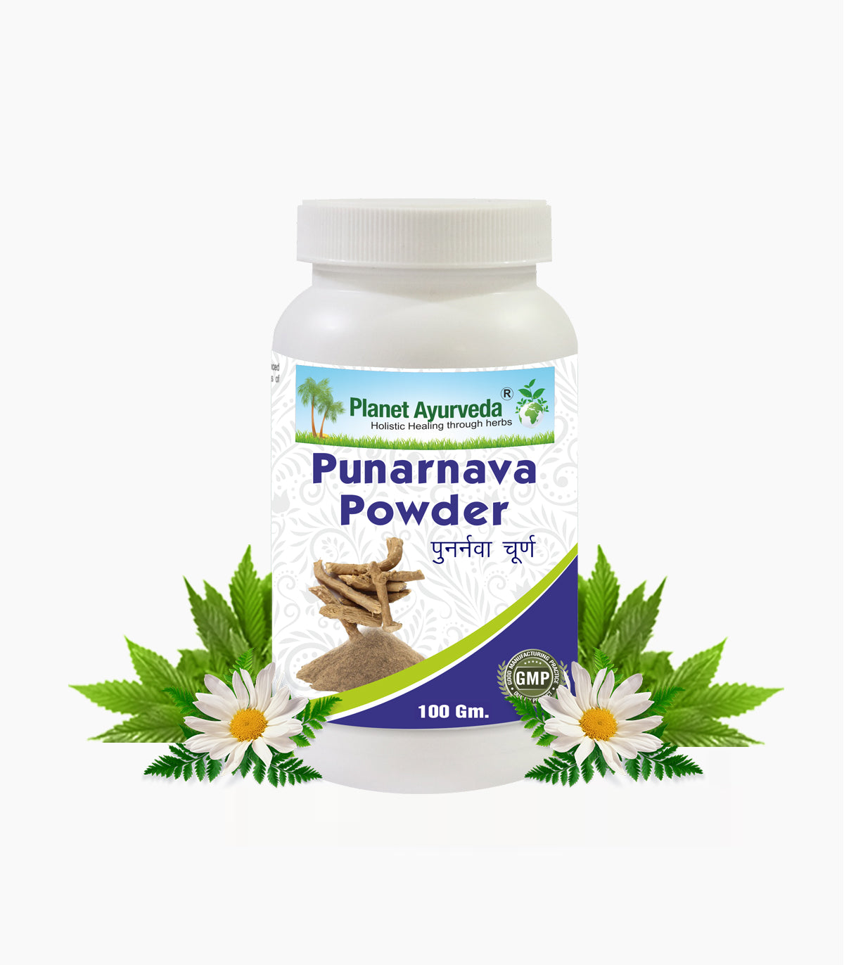 PUNARNAVA POWDER