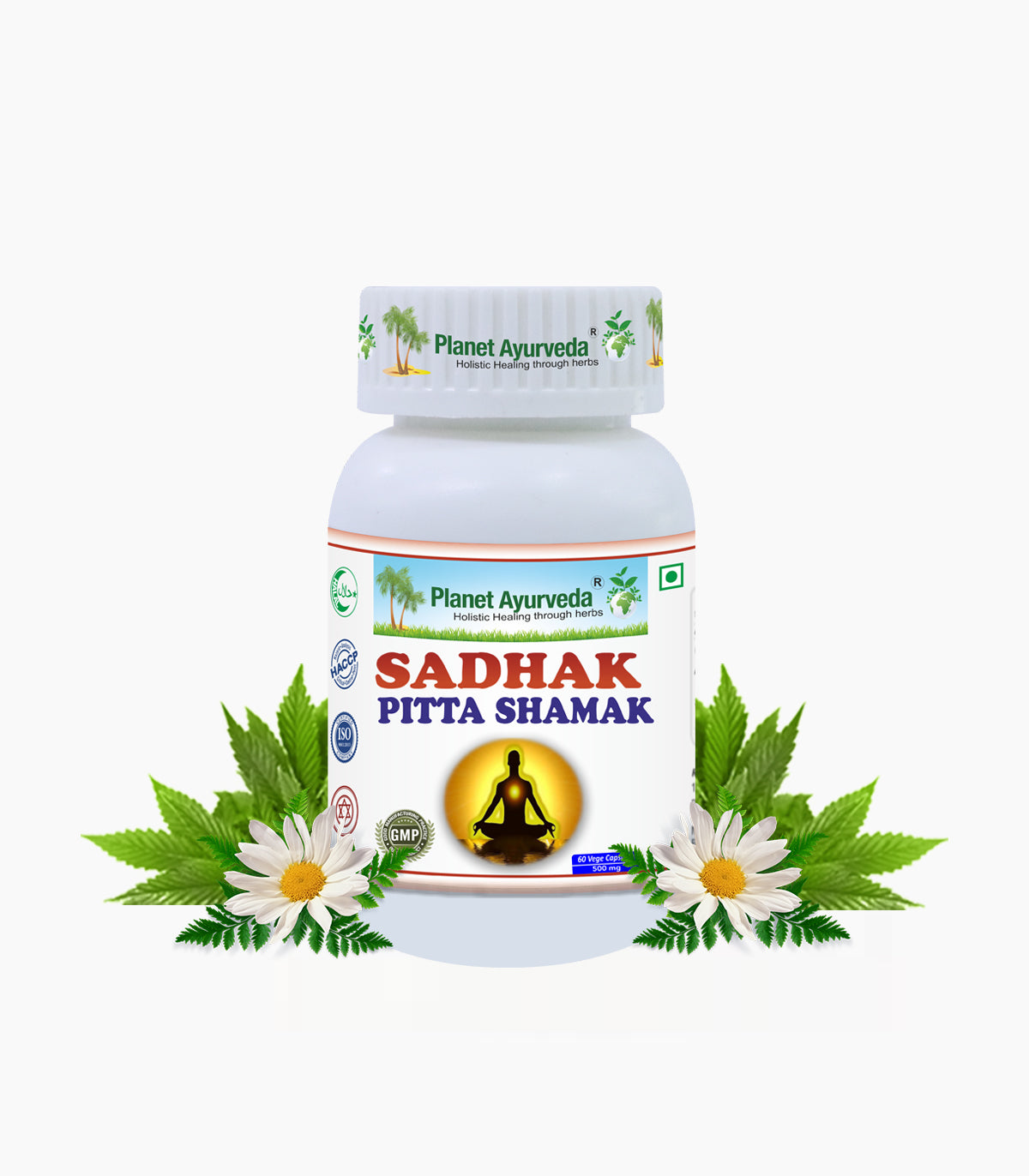 SADHAK PITTA SHAMAK