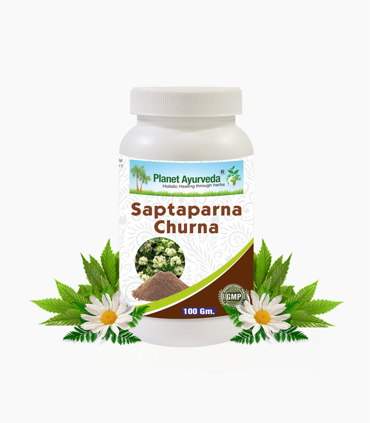 SAPTAPARNA CHURNA