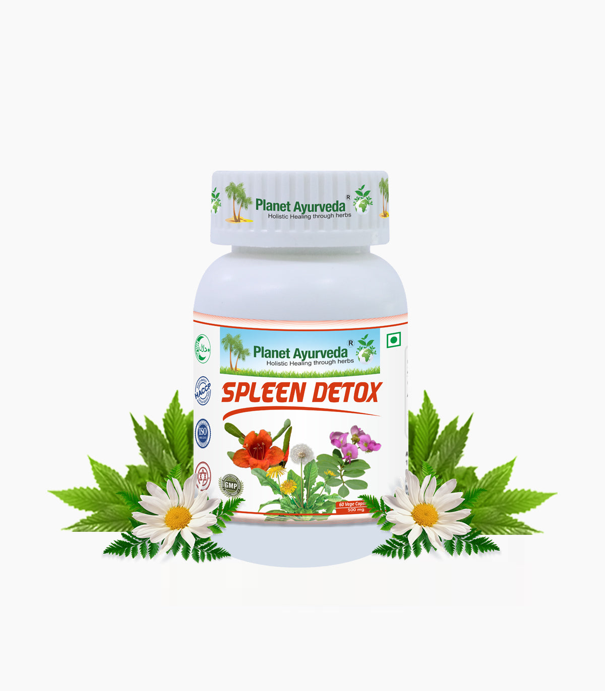 SPLEEN DETOX CAPSULES