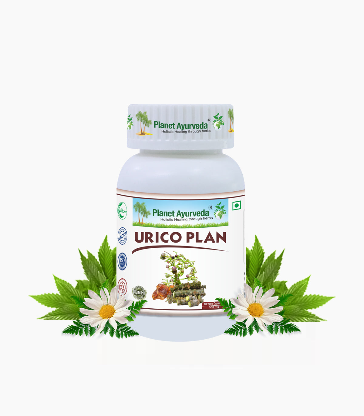 URICO PLAN CAPSULES