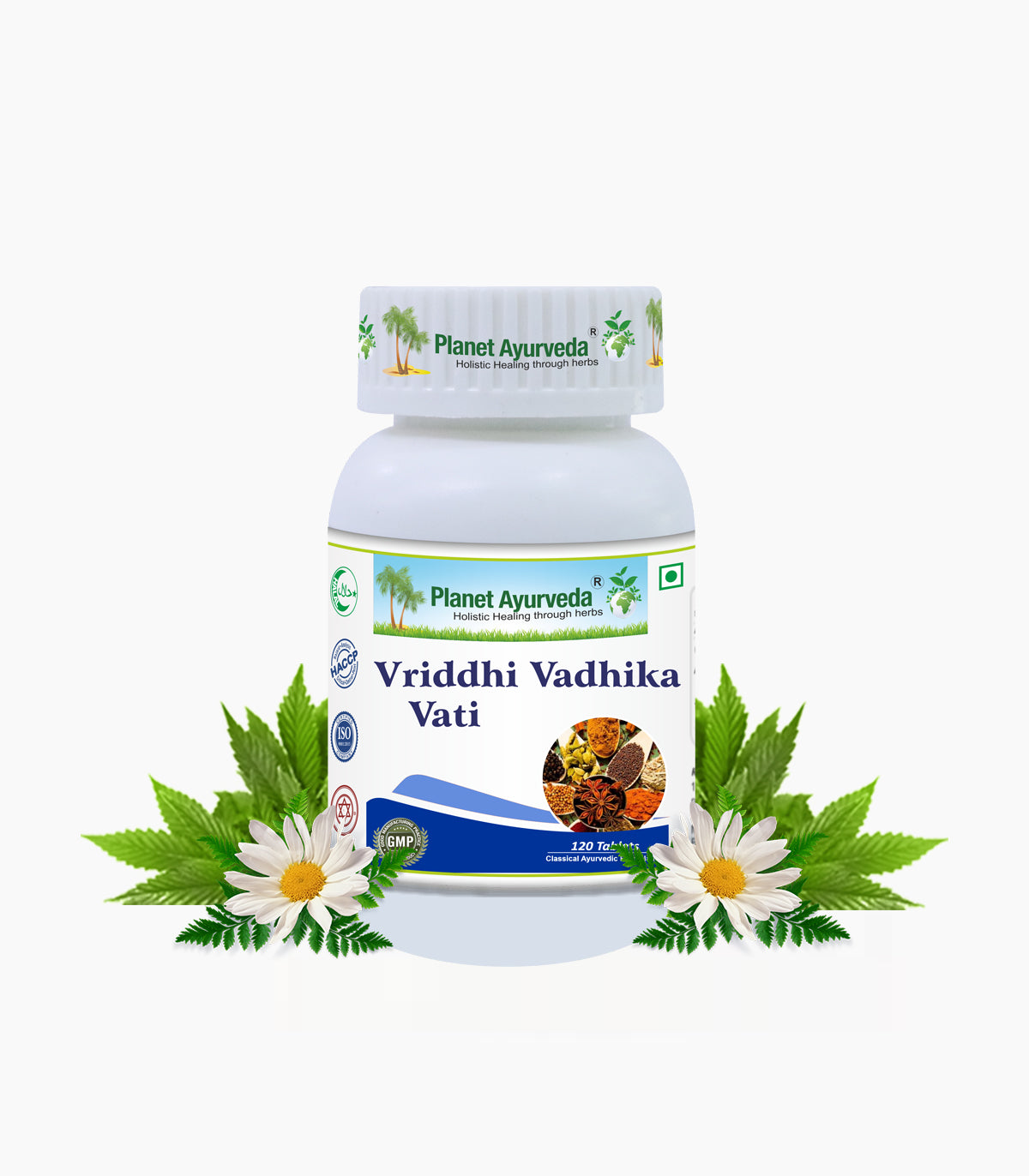VRIDDHI VADHIKA VATI