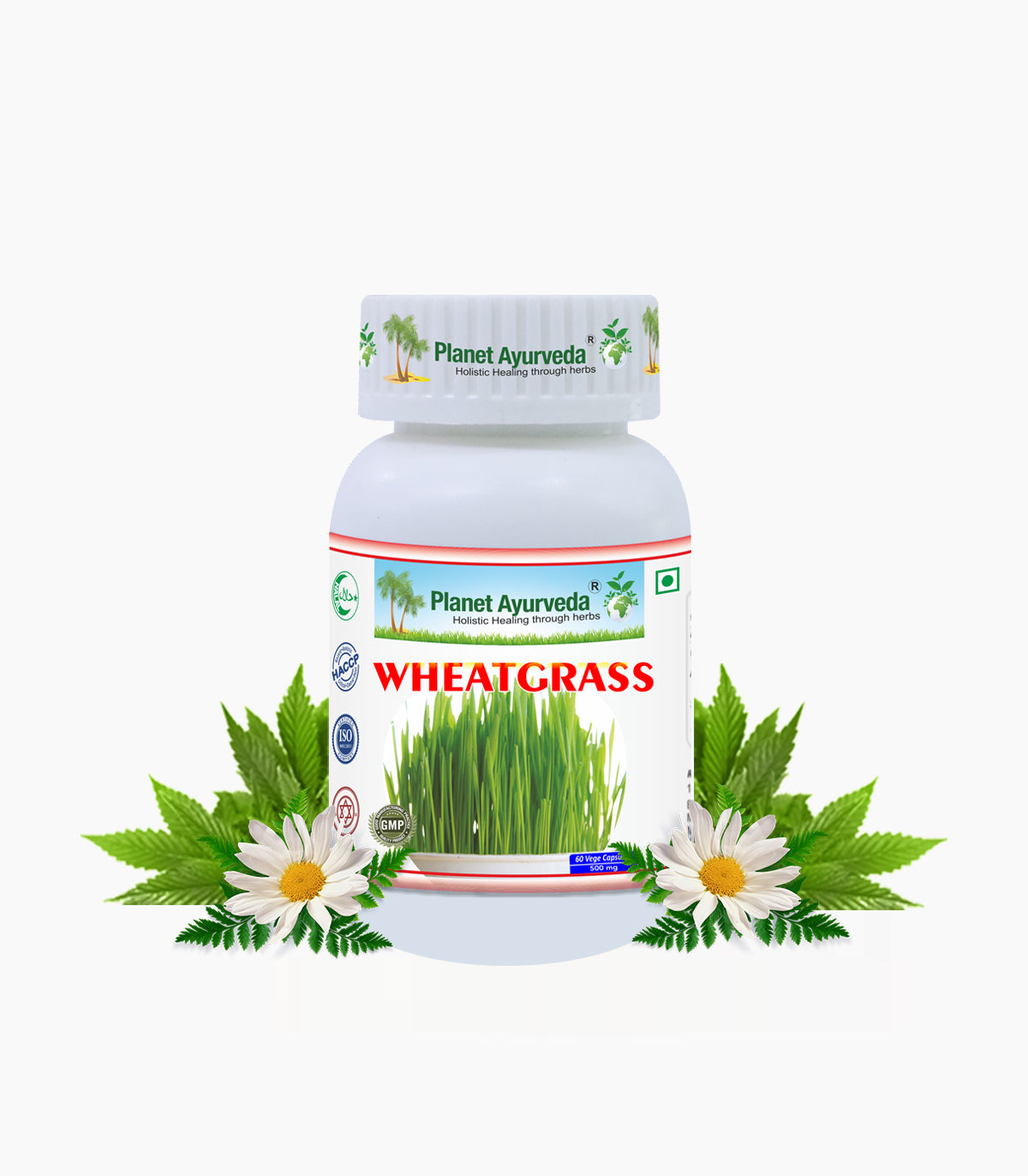 WHEATGRASS CAPSULES