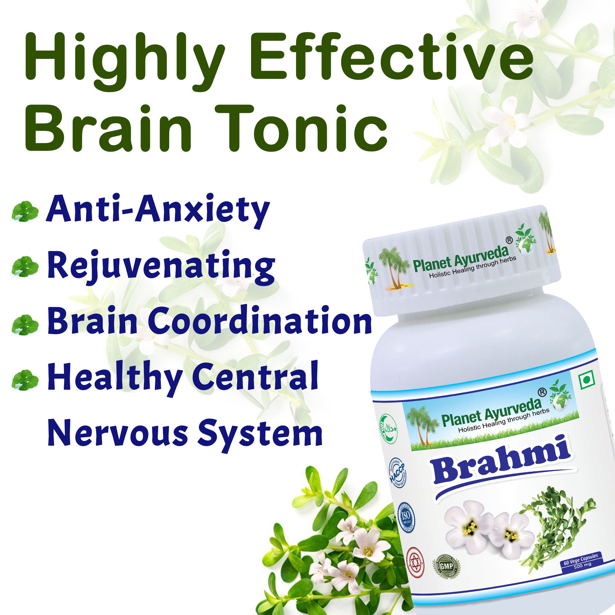 BRAHMI CAPSULES