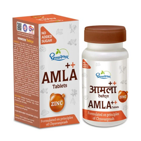 DHOOTAPAPESHWAR AMLA PLUS WITH ZINC TABLETS (60 TABLETS)