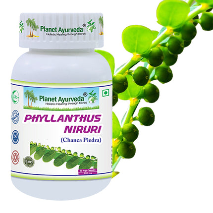 Planet Ayurveda Phyllanthus Niruri Capsules - Usage, Dosage And Benefits