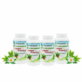 YAKRIT PLIHANTAK CHURNA (PACK OF 4)