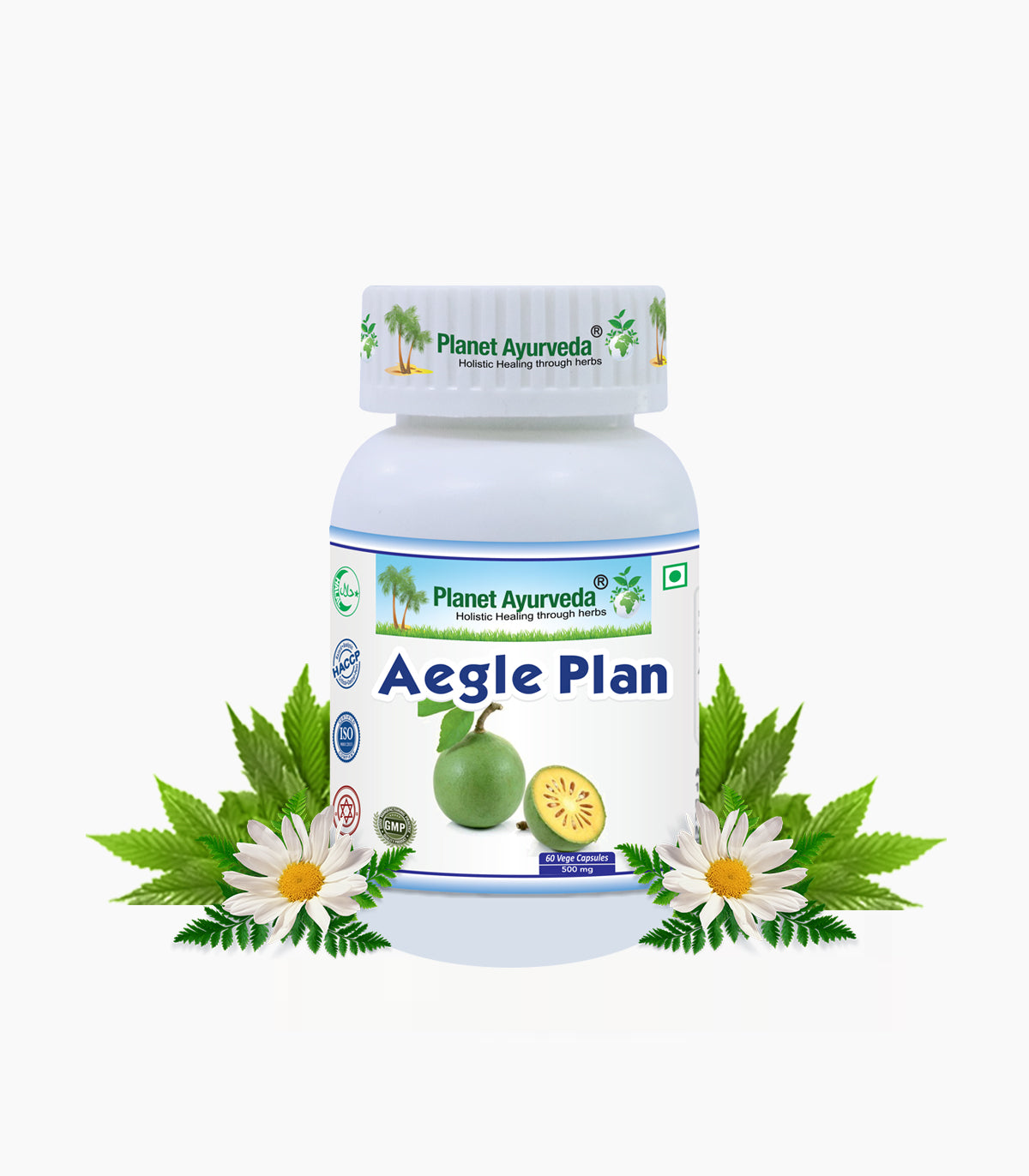 AEGLE PLAN CAPSULES Bottle of 60 QTY