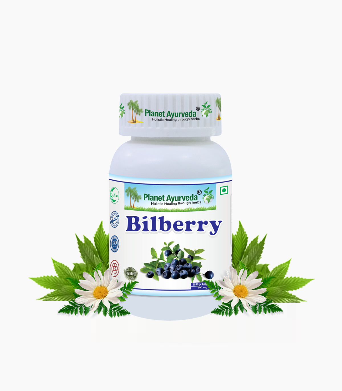Bilberry Capsules Bottle of 60 QTY
